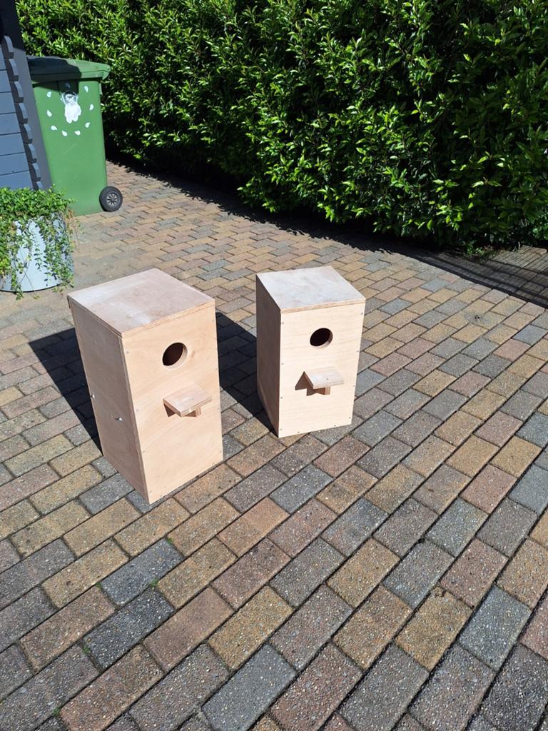 Broedblok berg en pruimkopparkieten, Dieren en Toebehoren, Vogels | Toebehoren, Ophalen, Nieuw, Kooi-accessoires