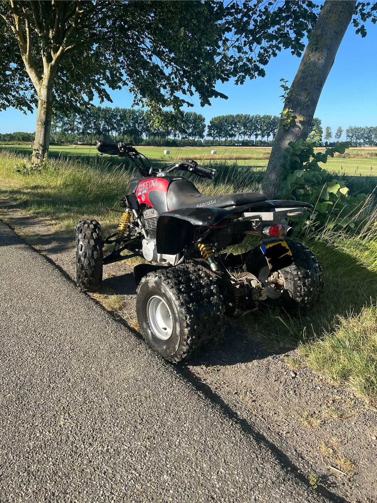Barossa Cheetah Schakel Quad 250cc (2004) – B-rijbewijs, Ophalen