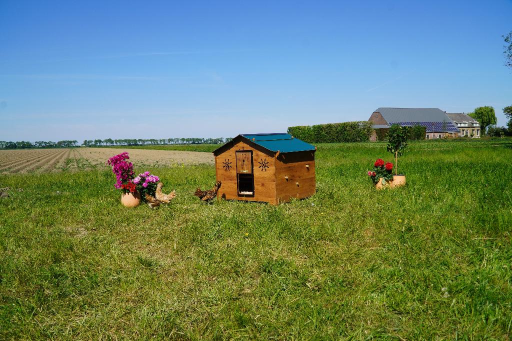 Trespa Kippenhok Cucciolotta | Chalet 2XL, Dieren en Toebehoren, Pluimvee | Toebehoren, Ophalen of Verzenden, Nieuw, Kippenhok of Kippenren