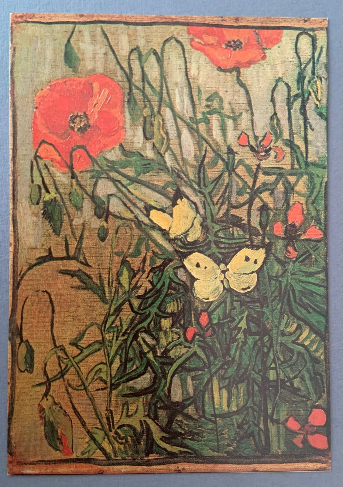 Ansichtkaart Vincent van Gogh - Klaprozen en Vlinders, Ophalen of Verzenden, 1980 tot heden, Ongelopen