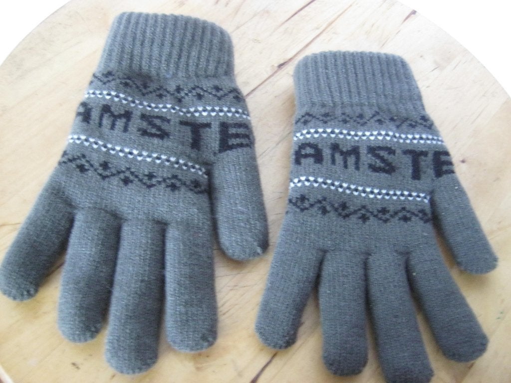 Grijze  gebreide gevoerde handschoenen met tekst amsterdam, Ophalen of Verzenden, Zo goed als nieuw, Maat 36 (S), Handschoenen