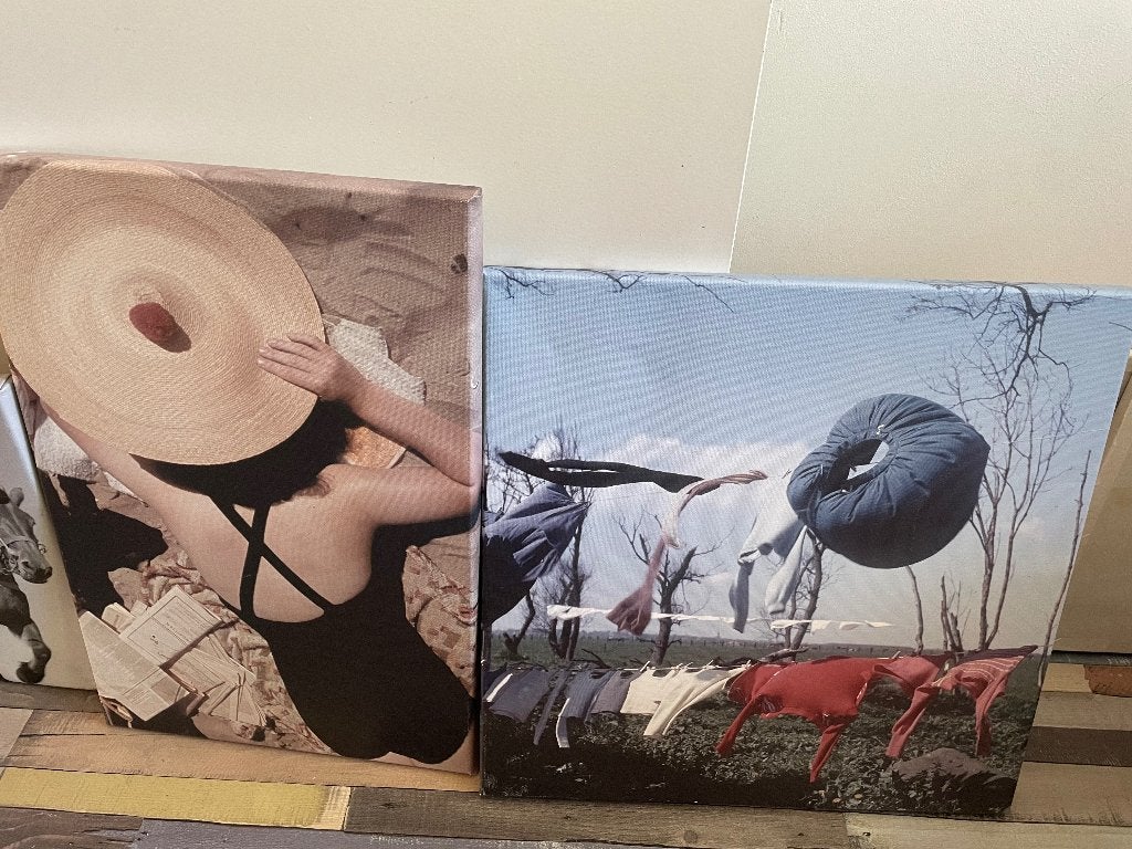 foto schilderijtjes, Ophalen, Gebruikt, Minder dan 50 cm, Schilderij