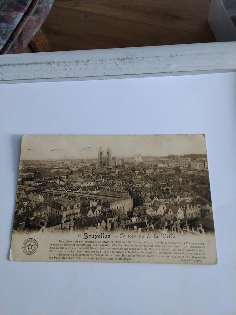 BRUSSEL 1913. PANORAMISCH UITZICHT, Ophalen of Verzenden, Voor 1920, Overige thema's