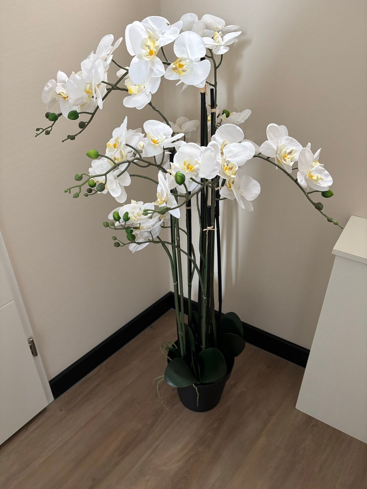 Realistische Kunst Orchidee - 100 cm hoog, wit, met pot, Ophalen, Binnen, Kunstplant, Met pot of vaas