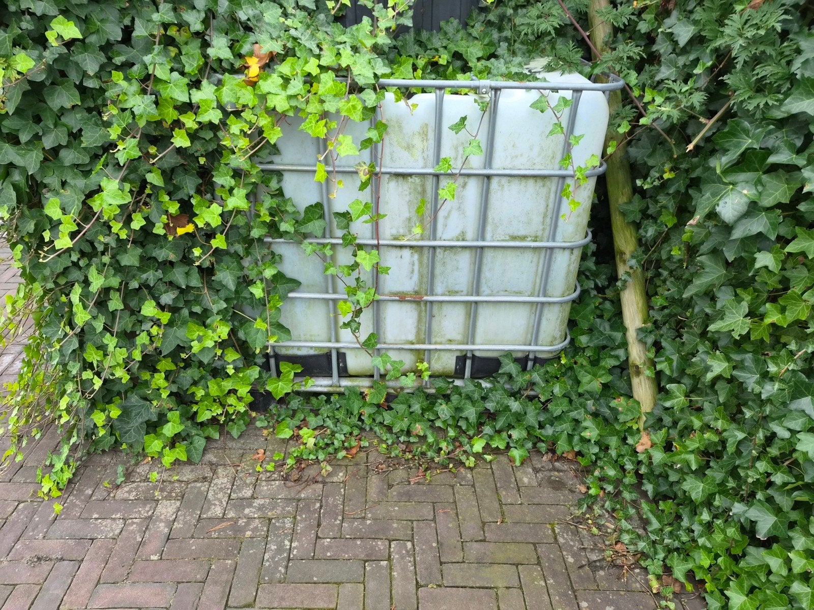 IBC container met velda pomp en filter voor aasvissen, Ophalen, Gebruikt