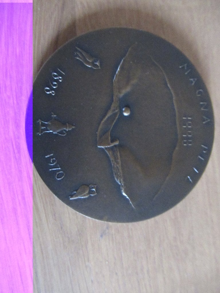 penning, Ophalen of Verzenden, Brons, Nederland