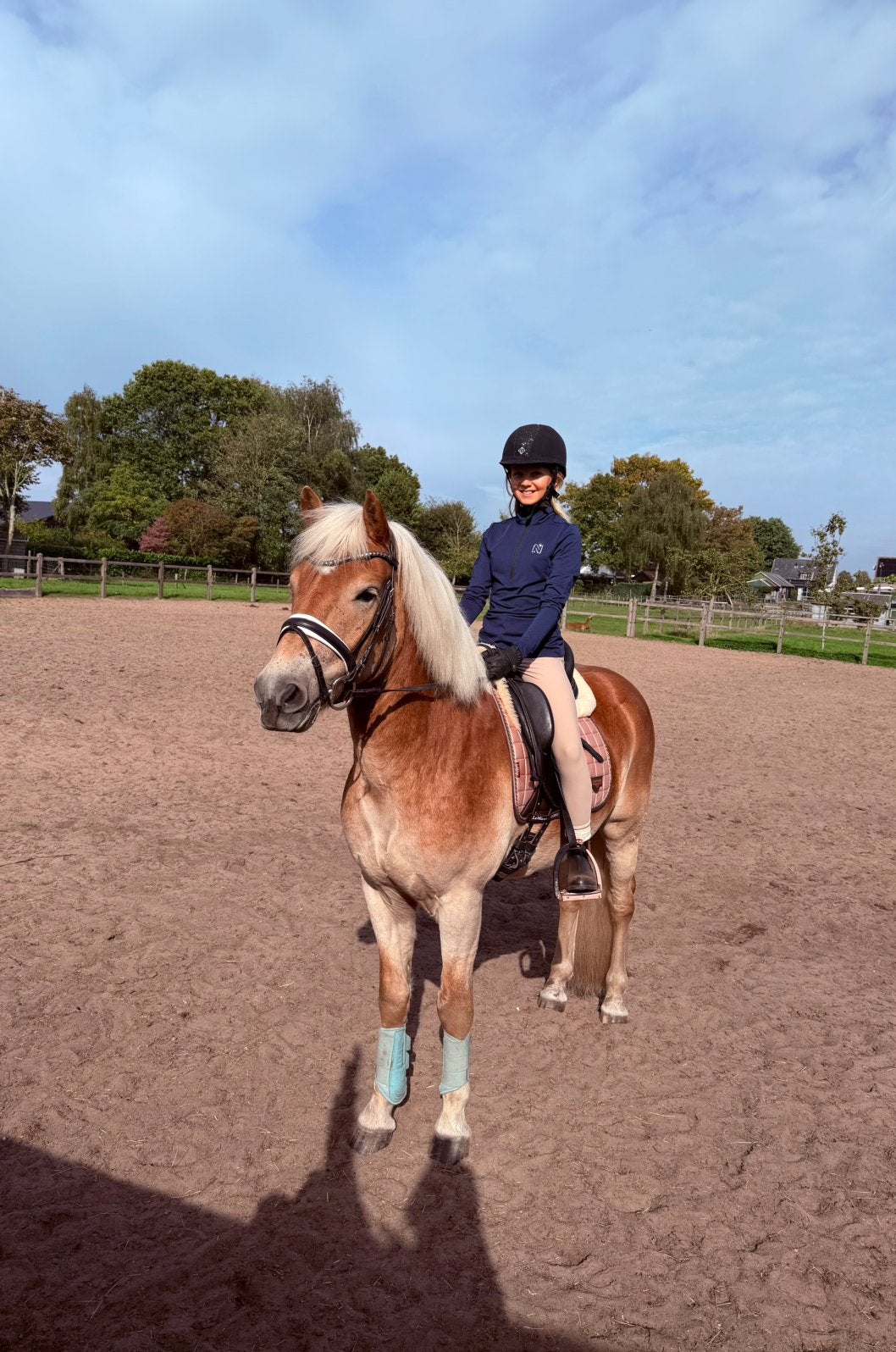 5 jarige haflinger (fok)merrie & Eyecatcher haflinger ruin, Dieren en Toebehoren, Minder dan 160 cm, Met stamboom, Ruin, 3 tot 6 jaar