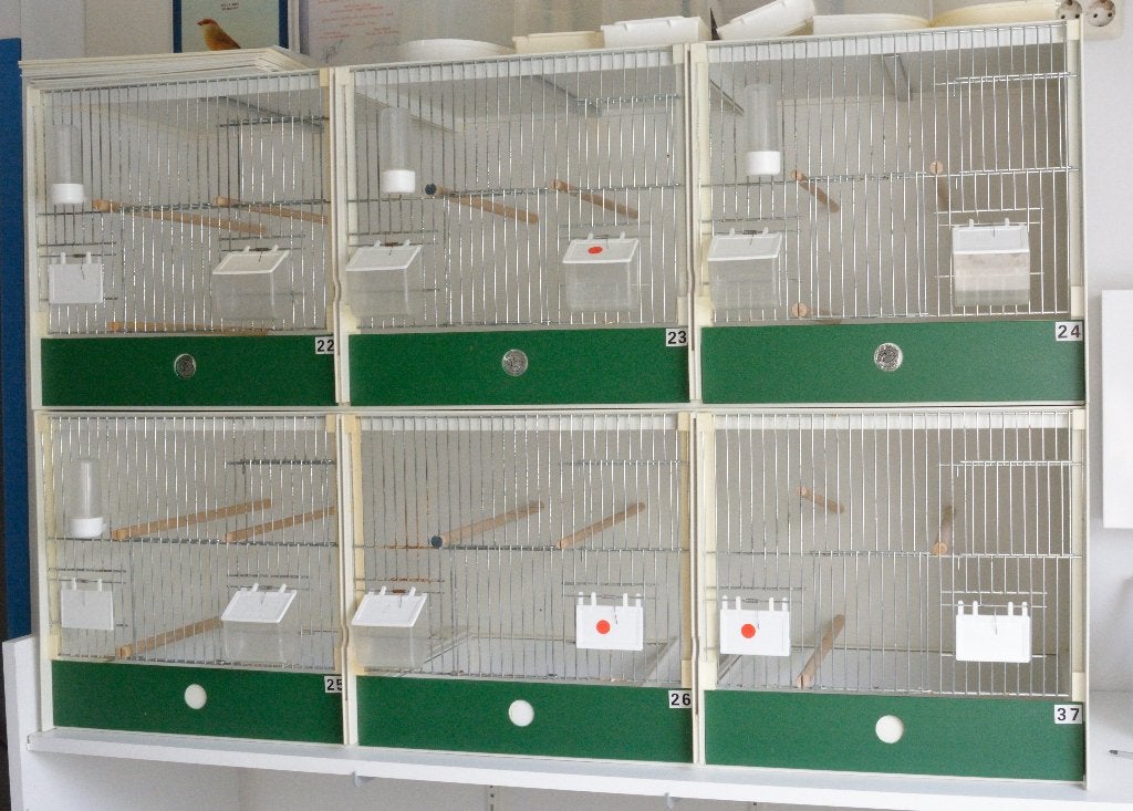 Vogelkooien Heesakkers, Ophalen, Gebruikt, Kunststof, Vogelkooi