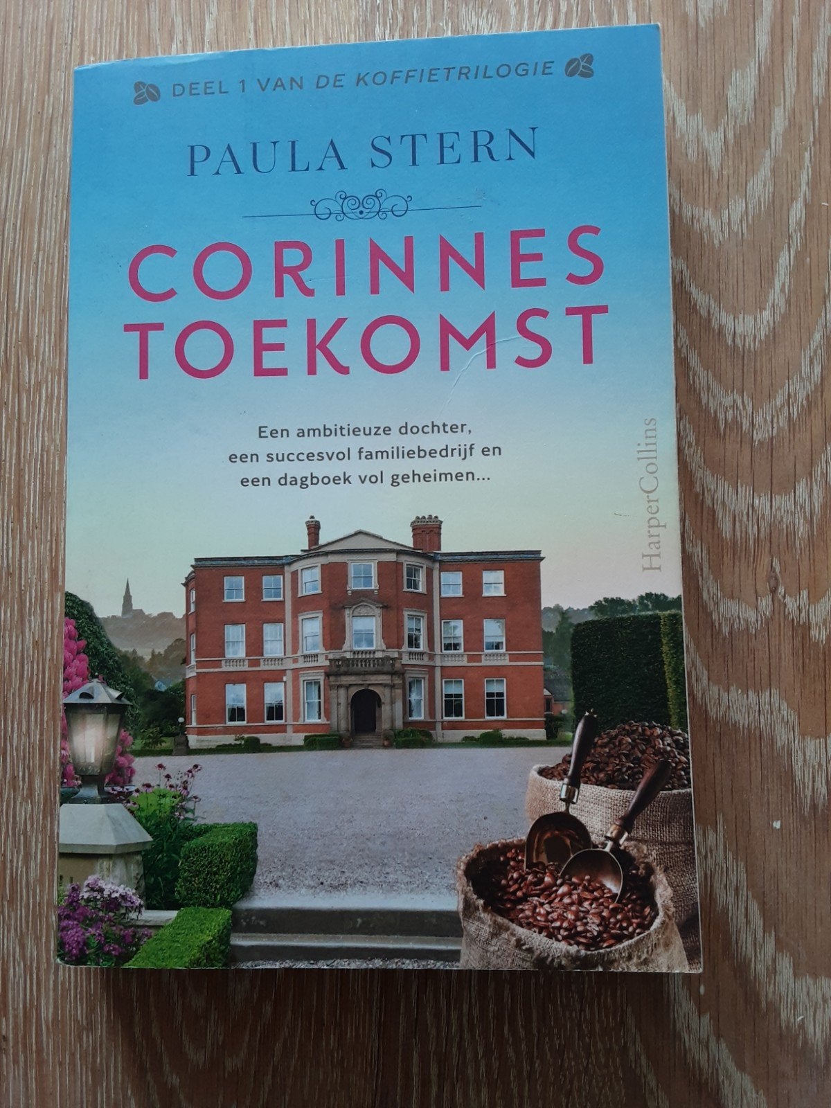 roman : Corinnes toekomst, Boeken, Ophalen, Zo goed als nieuw, Paula Stern