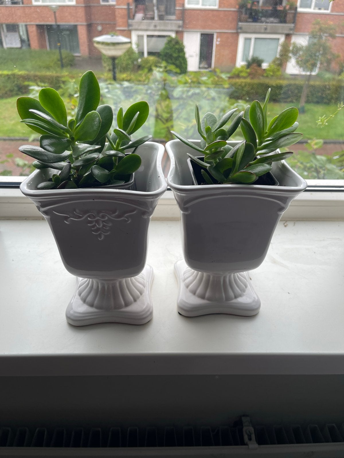 Twee witte bloempotten met planten, Tuin en Terras, Overige materialen, Minder dan 30 cm, Minder dan 60 cm, Ophalen of Verzenden