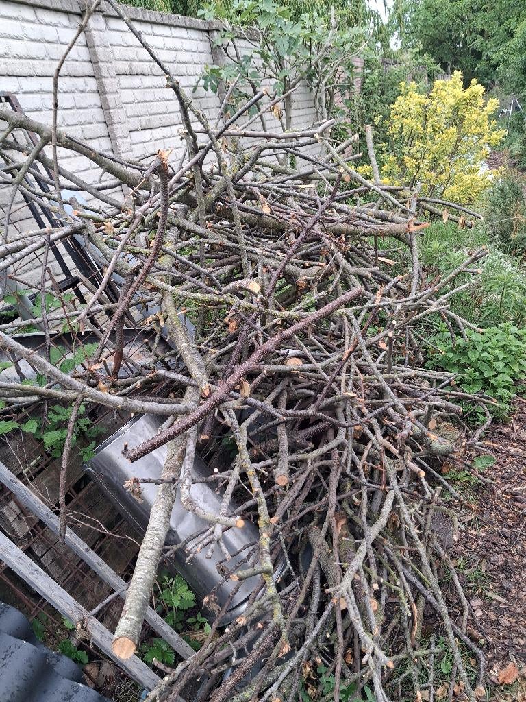 sprokkelhout, Tuin en Terras, Haardhout, Minder dan 3 m³, Ophalen, Overige houtsoorten, Takken