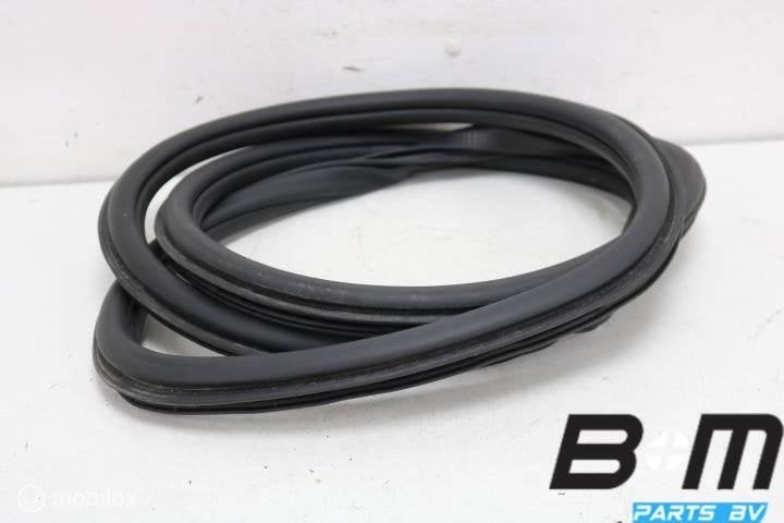 Portierrubber rechtsachter VW Polo 6R 6R6867912, Gebruikt