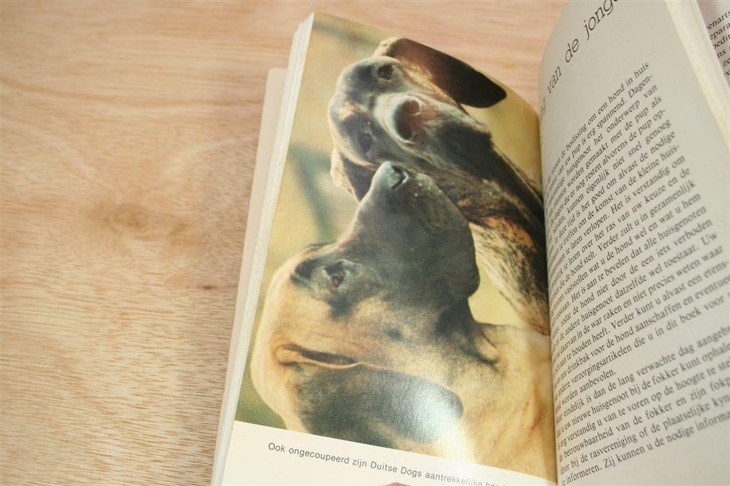 De Duitse Dog — Portret — Rijk Geïllustreerd, Ophalen of Verzenden, Gelezen, Honden