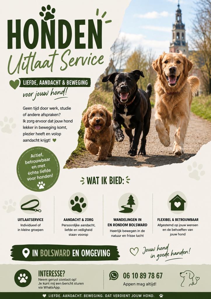 Honden uitlaatservice  Liefdevolle aandacht voor jouw hond, Ophalen, Nieuw