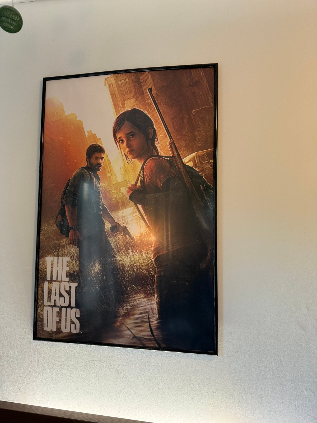 Grote Poster zonder lijst The Last Of Us 61x91,5 cm, Verzamelen, Ophalen, Rechthoekig Staand, Deurposter of groter, Zo goed als nieuw