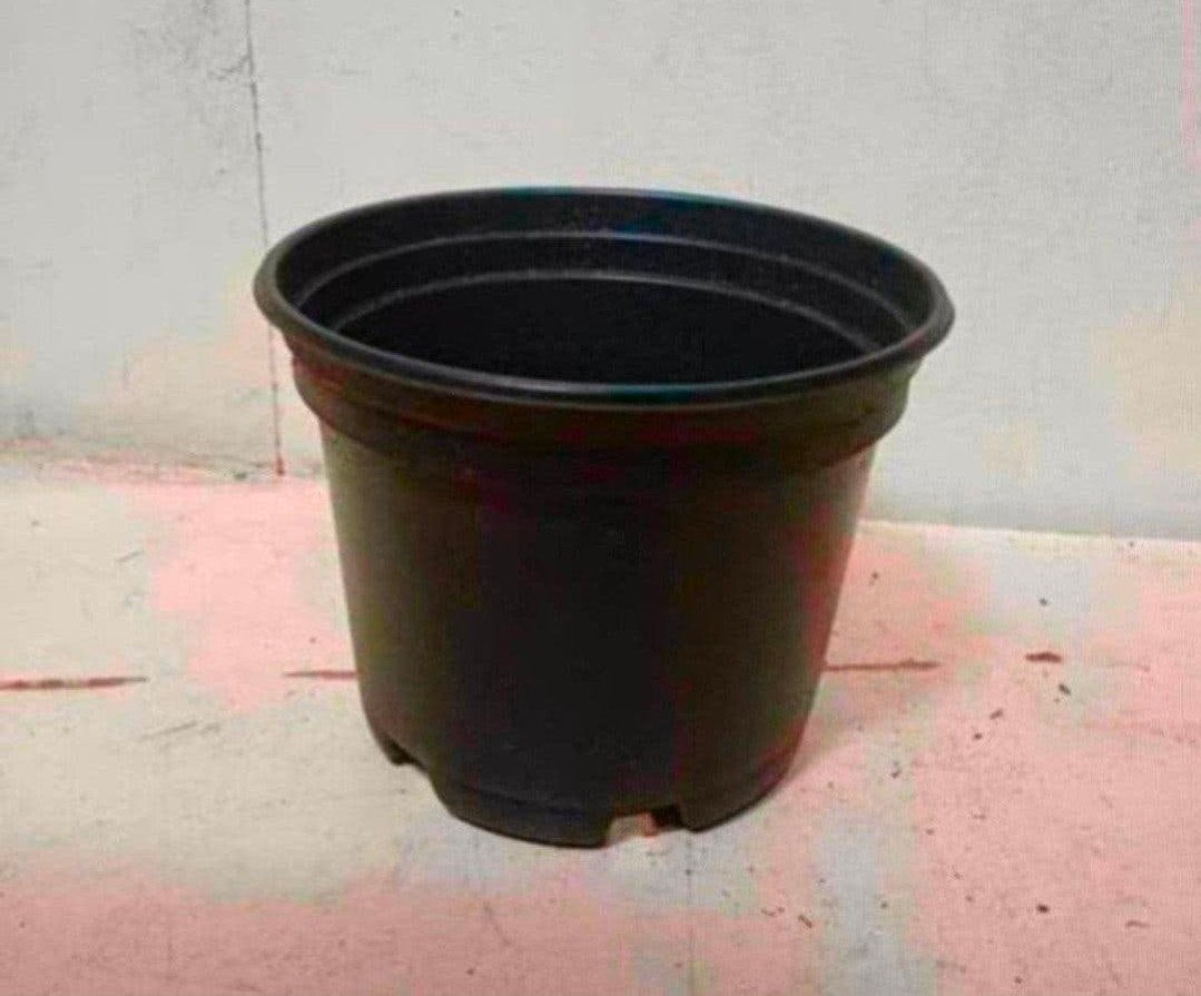 kweekpotten plantenpotten bloempotten 2 liter, Kunststof, Gebruikt, Rond, Ophalen of Verzenden