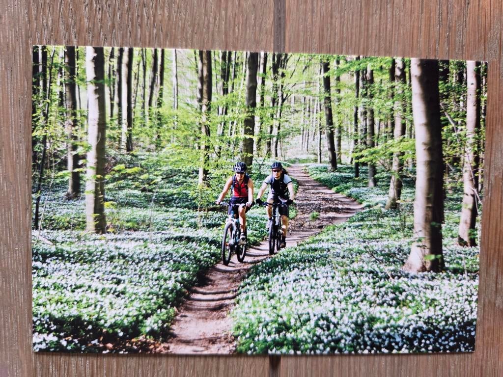 MOUNTAINBIKE 6, Verzamelen, Ansichtkaarten | Themakaarten, Ophalen
