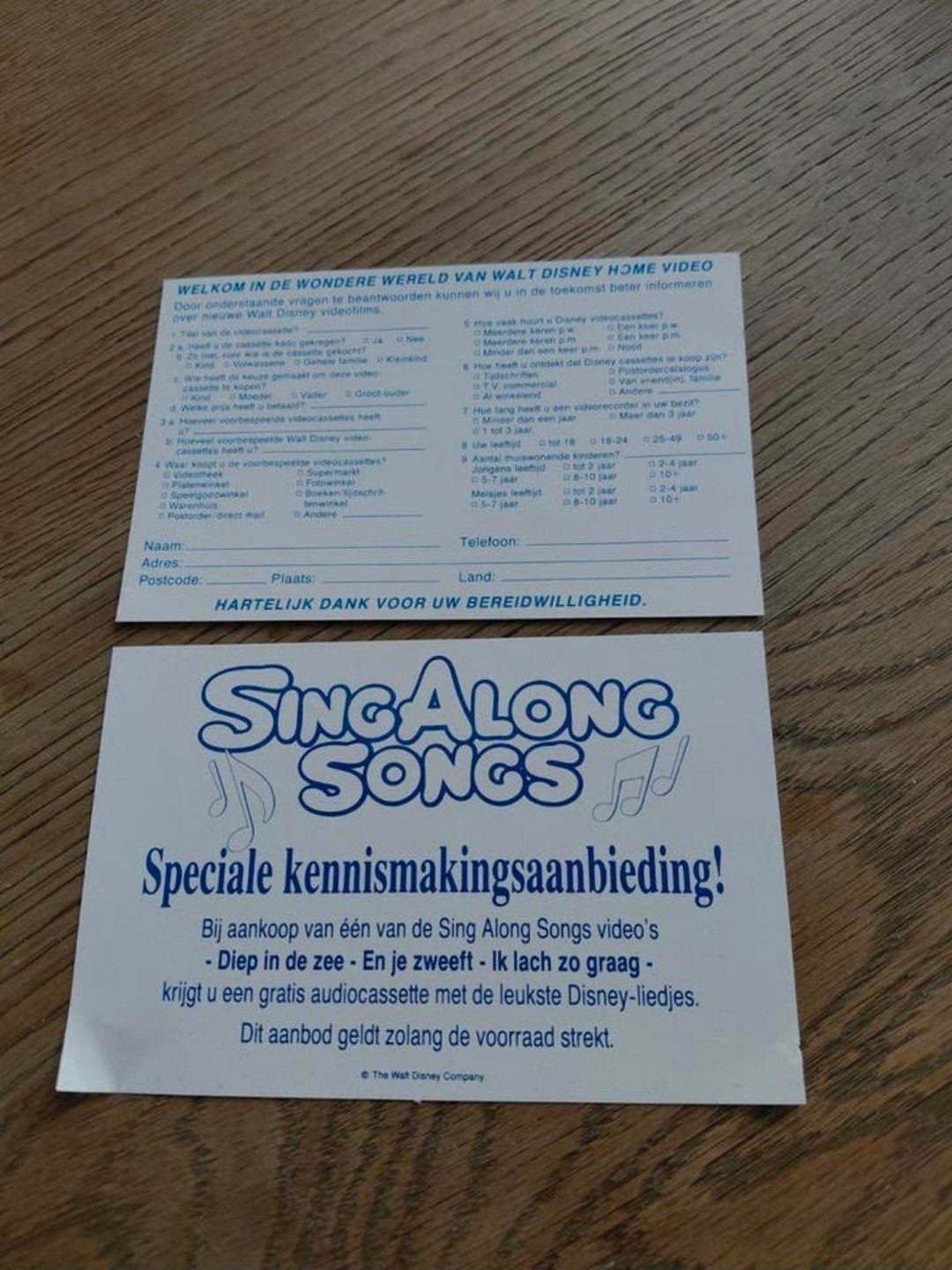 Disney SingAlongSongs kennismakingsaanbieding flyer., Ophalen of Verzenden, Zo goed als nieuw, Plaatje of Poster