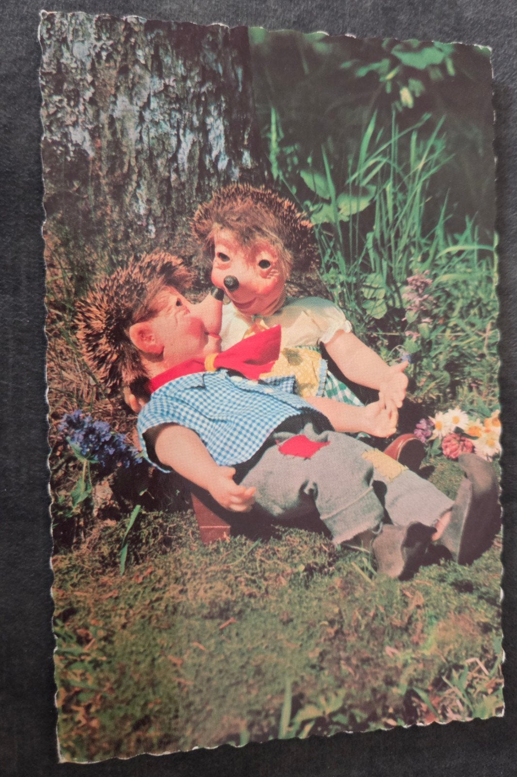 Egeltjes in het gras, Verzamelen, Verzenden, 1940 tot 1960, Gelopen, Kinderen