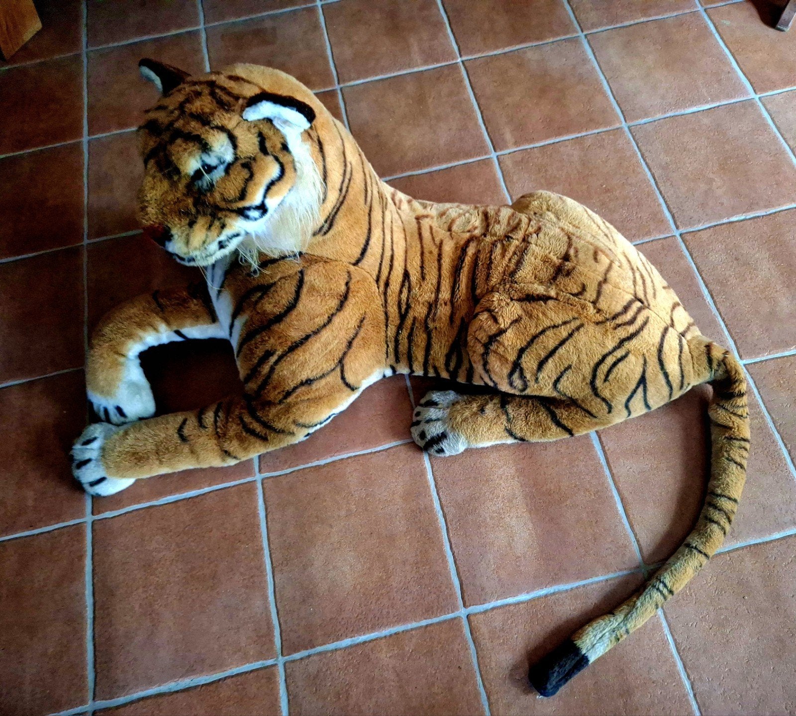 Tijger groot teab, Ophalen