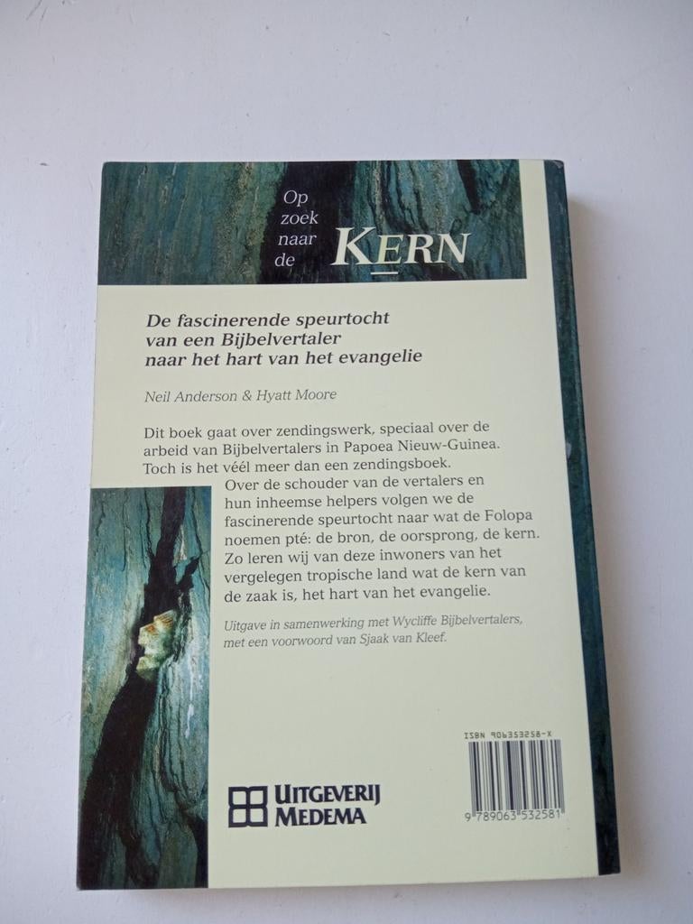 Neil T Anderson - Op zoek naar de kern, Boeken, Ophalen of Verzenden, Zo goed als nieuw, Natalie Anderson