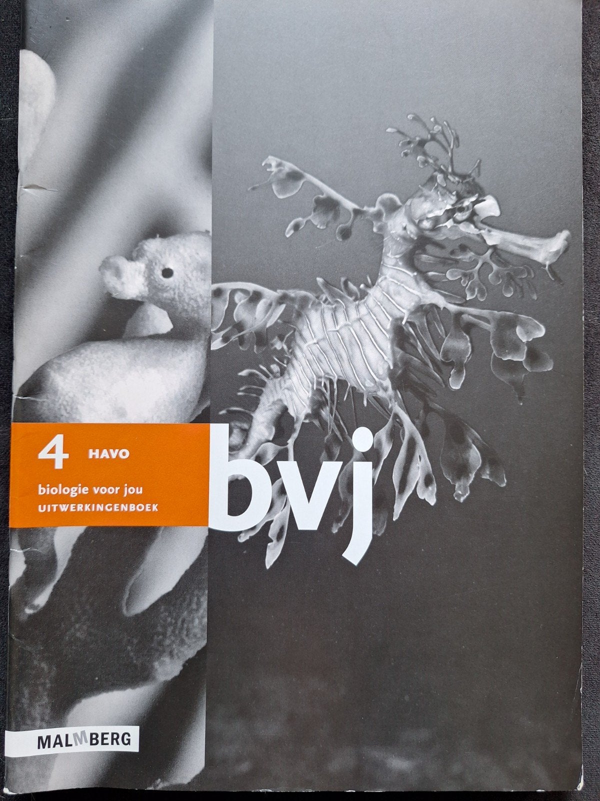 BVJ Biologie voor jou 4 HAVO Uitwerkingenboek, Boeken, Schoolboeken, Ophalen of Verzenden, Zo goed als nieuw, HAVO, Biologie