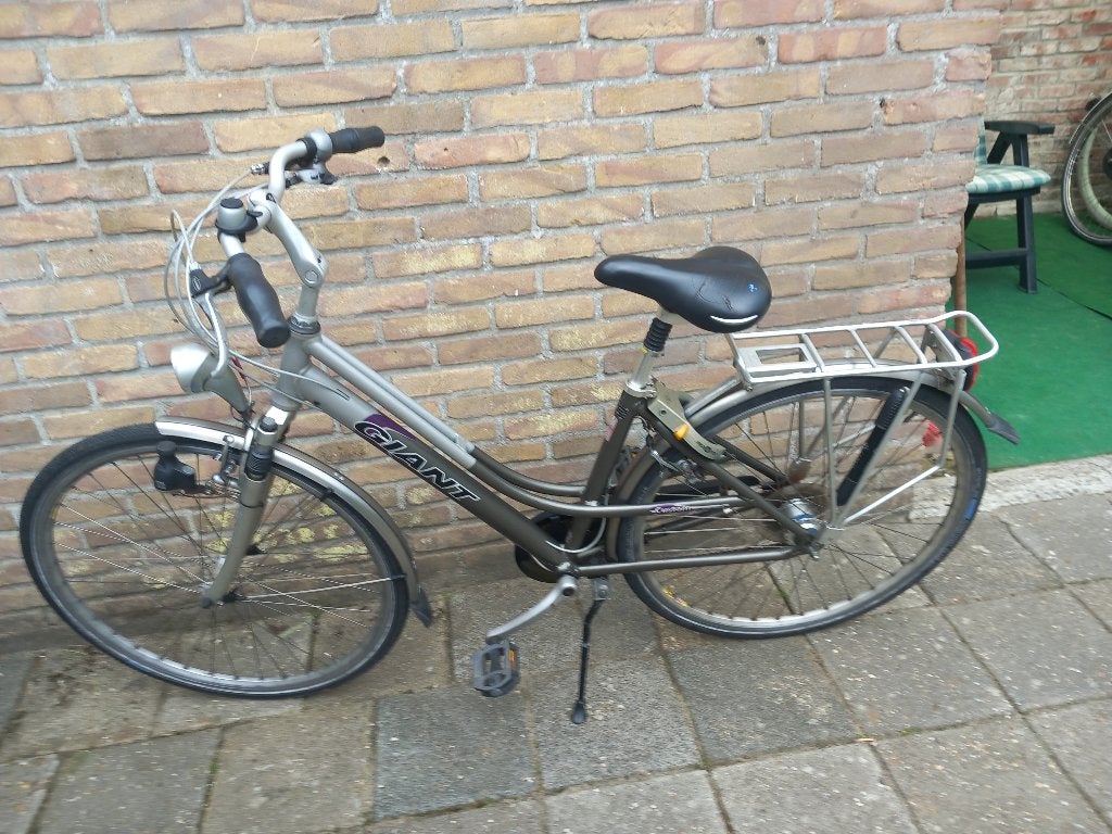 Giant custom damesfiets, Fietsen en Brommers, Fietsen | Dames | Damesfietsen, Ophalen, Gebruikt, Velgrem, 47 tot 50 cm