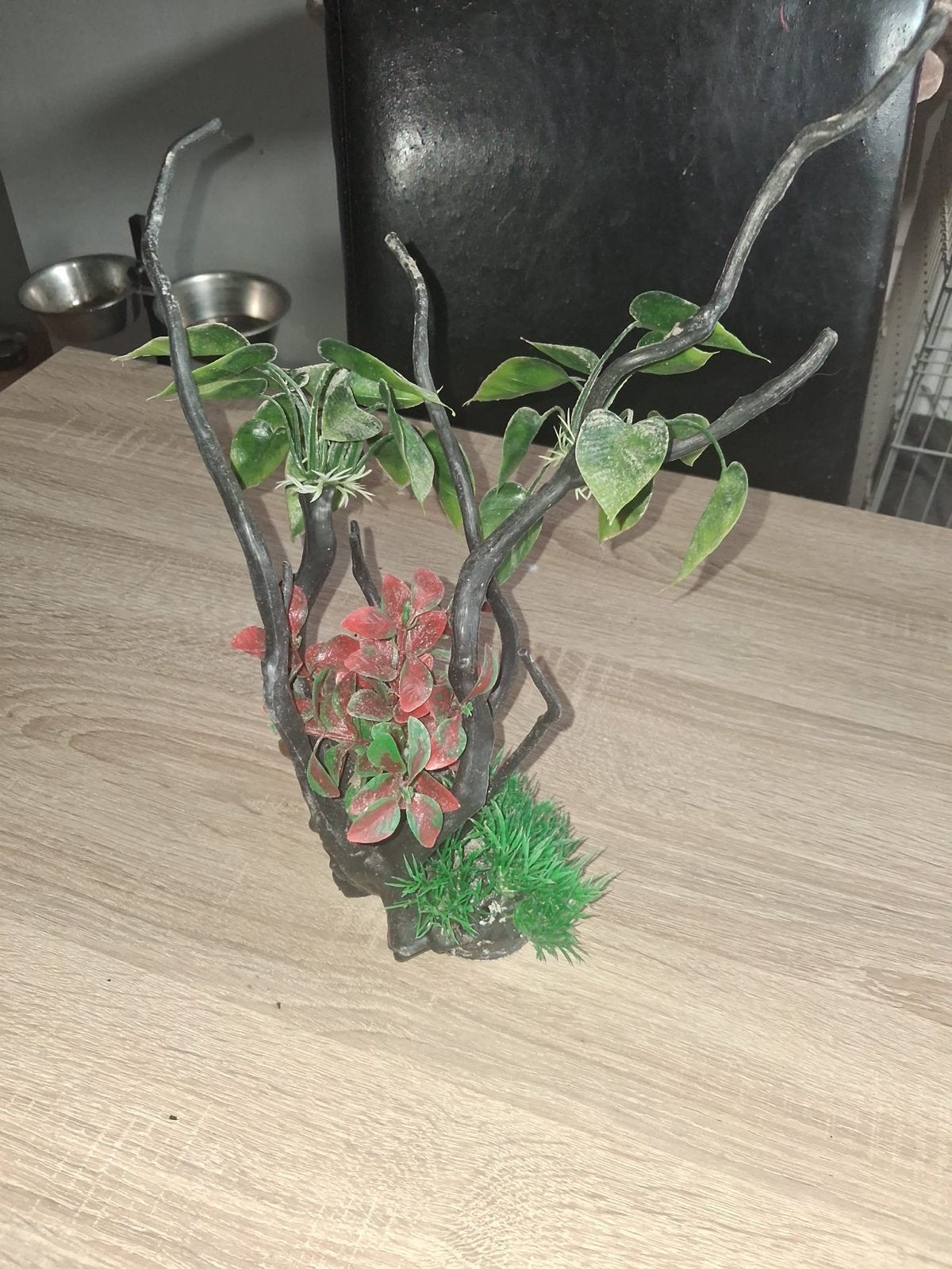 leule aquarium/terrarium decoratie, Dieren en Toebehoren, Ophalen