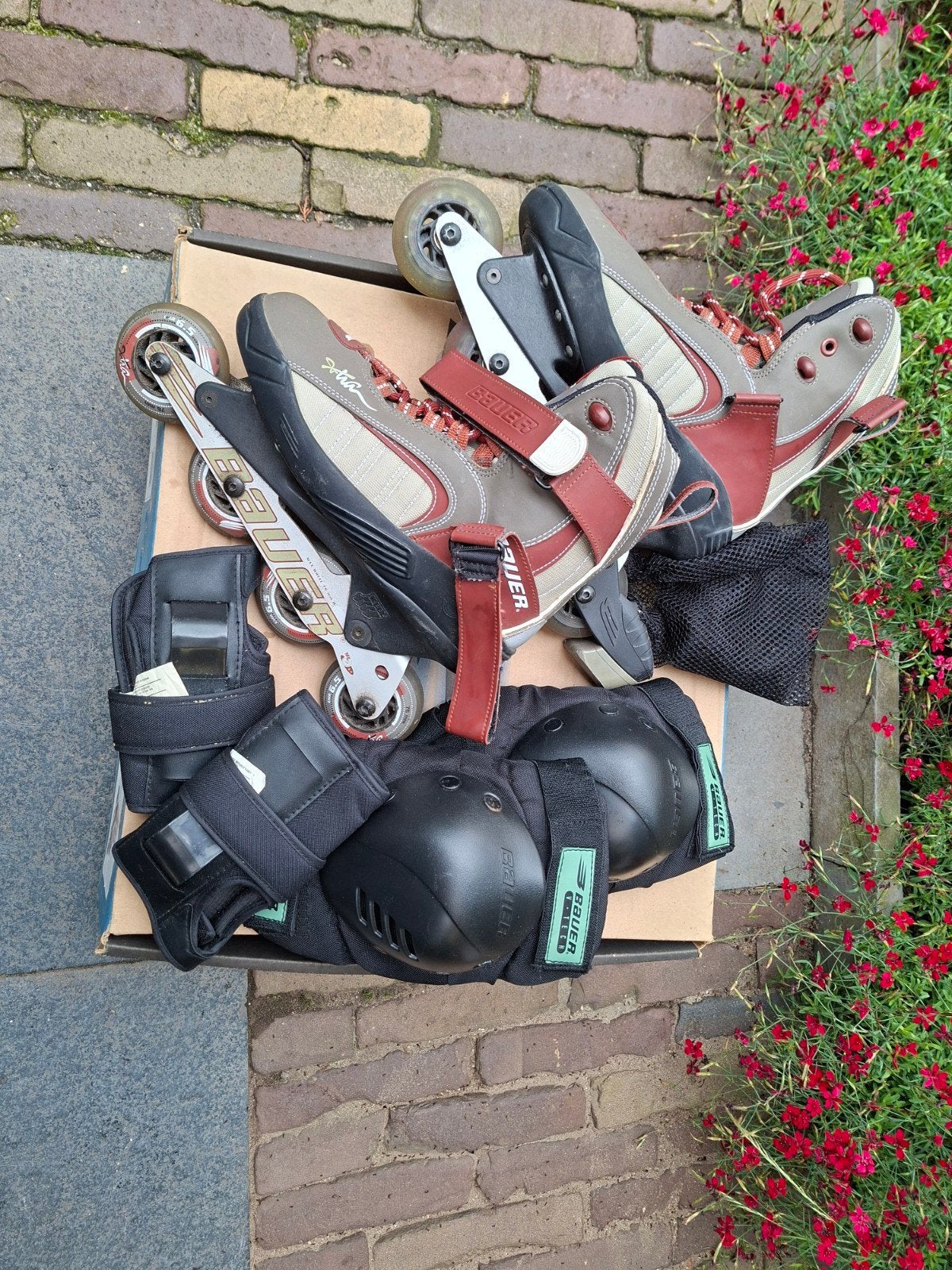 Te koop skeelers met beschermers, merk Bauer, Ophalen, Gebruikt, Dames, Bauer