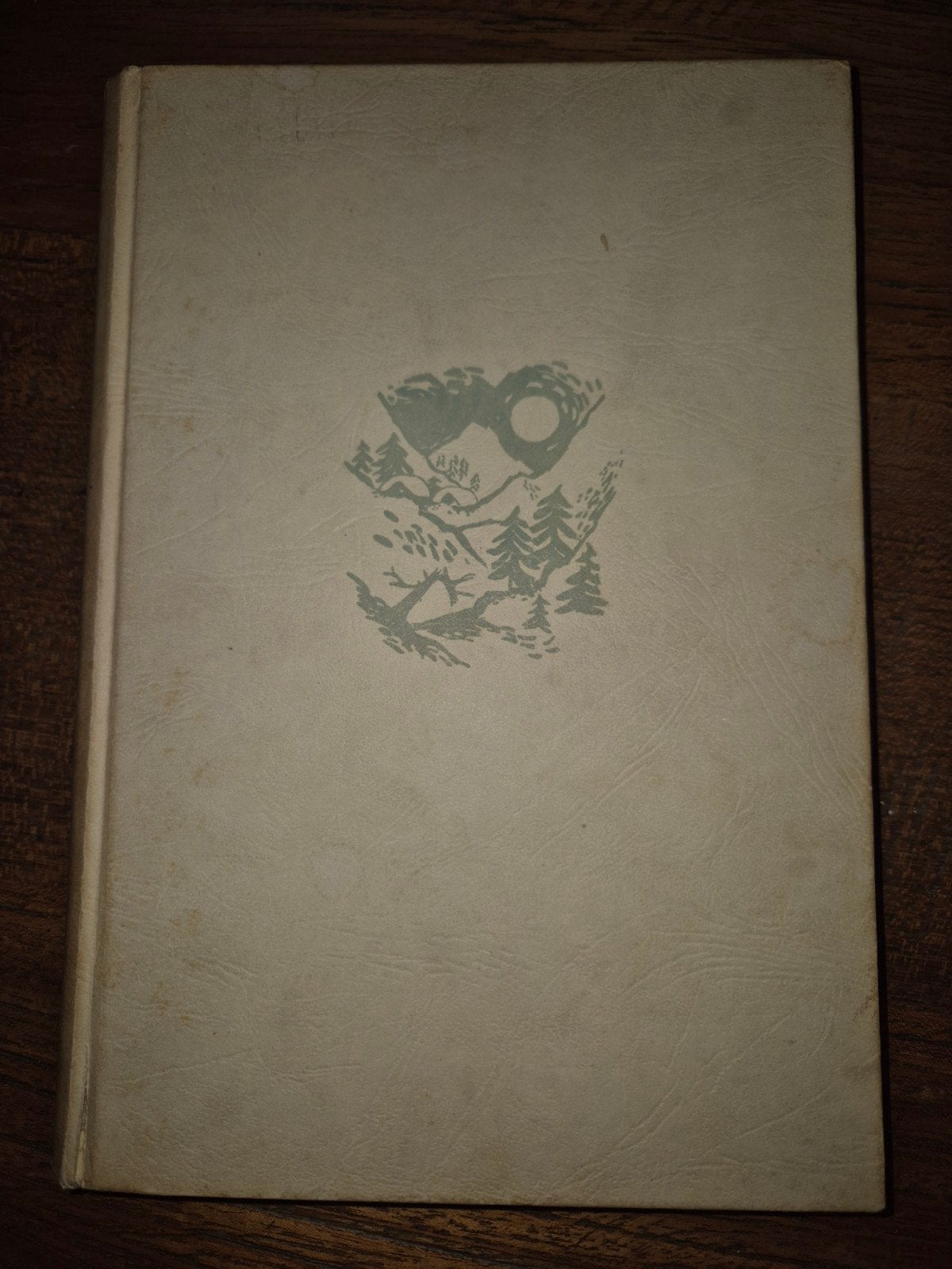 Lawines Razen - A. Rutgers van der Loeff-Basenau (1956), Boeken, Ophalen of Verzenden, Gelezen, An Rutgers van der Loeff, Fictie algemeen