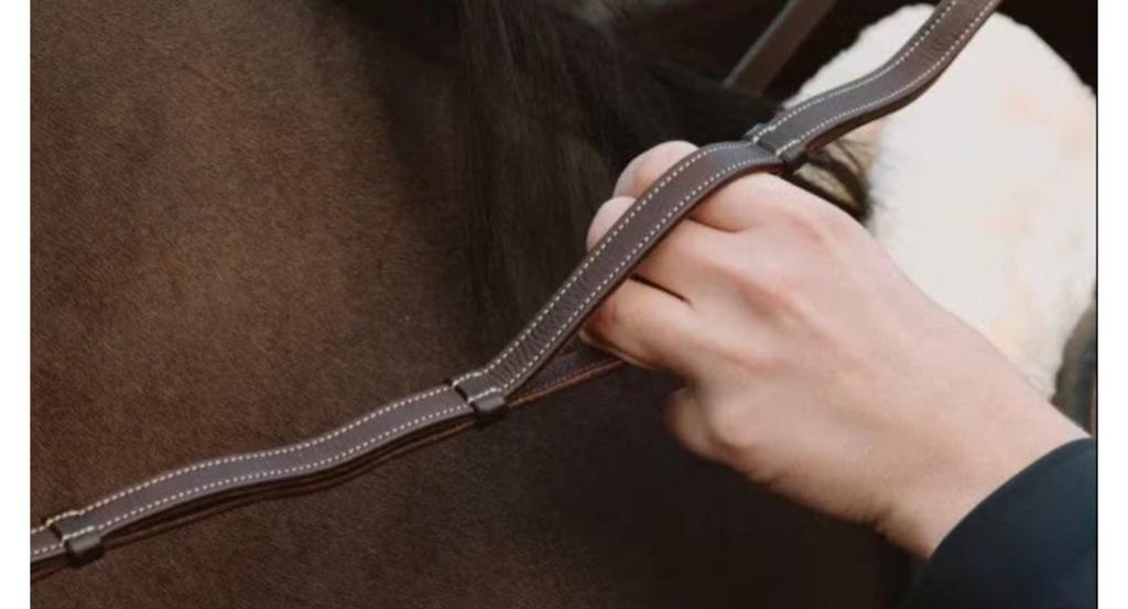 Dyon teugels met handgrepen zwart, Dieren en Toebehoren, Paarden en Pony's | Hoofdstellen en Tuigage, Ophalen of Verzenden, Zo goed als nieuw