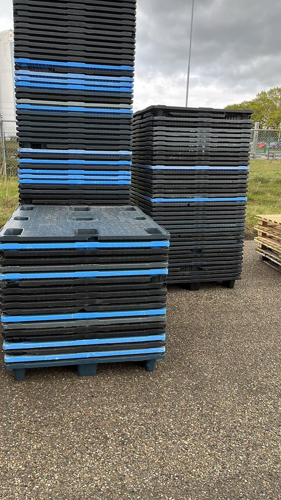 Grote partij plastic pallets - diverse kleuren en maten, Doe-het-zelf en Verbouw, Hout en Planken, Ophalen, Gebruikt, Overige typen