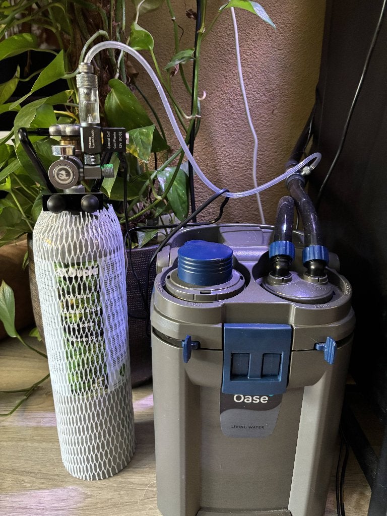 Zoetwater toebehoren., Ophalen, Inclusief deksel, Zo goed als nieuw, Juwel