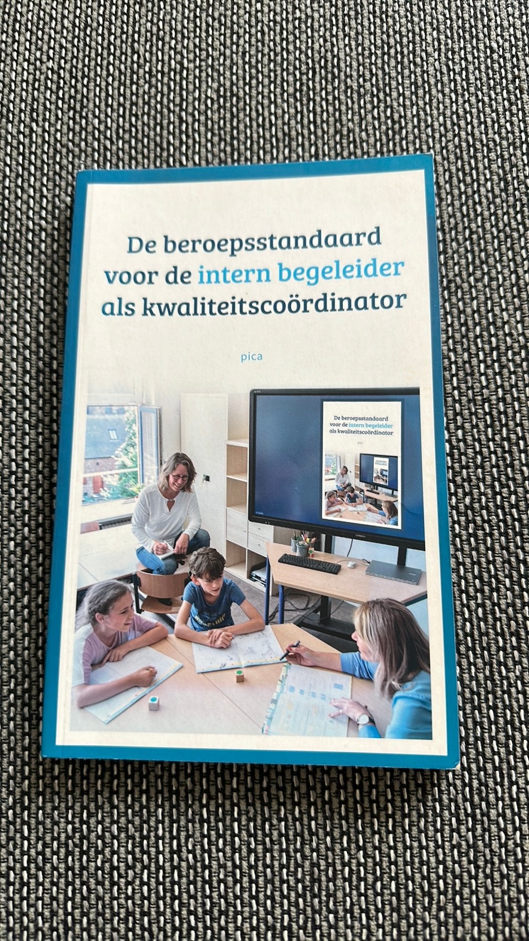LBBO - De beroepsstandaard voor de intern begeleider, Boeken, Sociale wetenschap, Ophalen of Verzenden, Zo goed als nieuw, LBBO