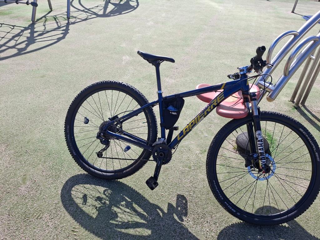 Lapierre Edge 29 inch mountainbike, Fietsen en Brommers, Overige merken, Hardtail, Heren, Ophalen of Verzenden