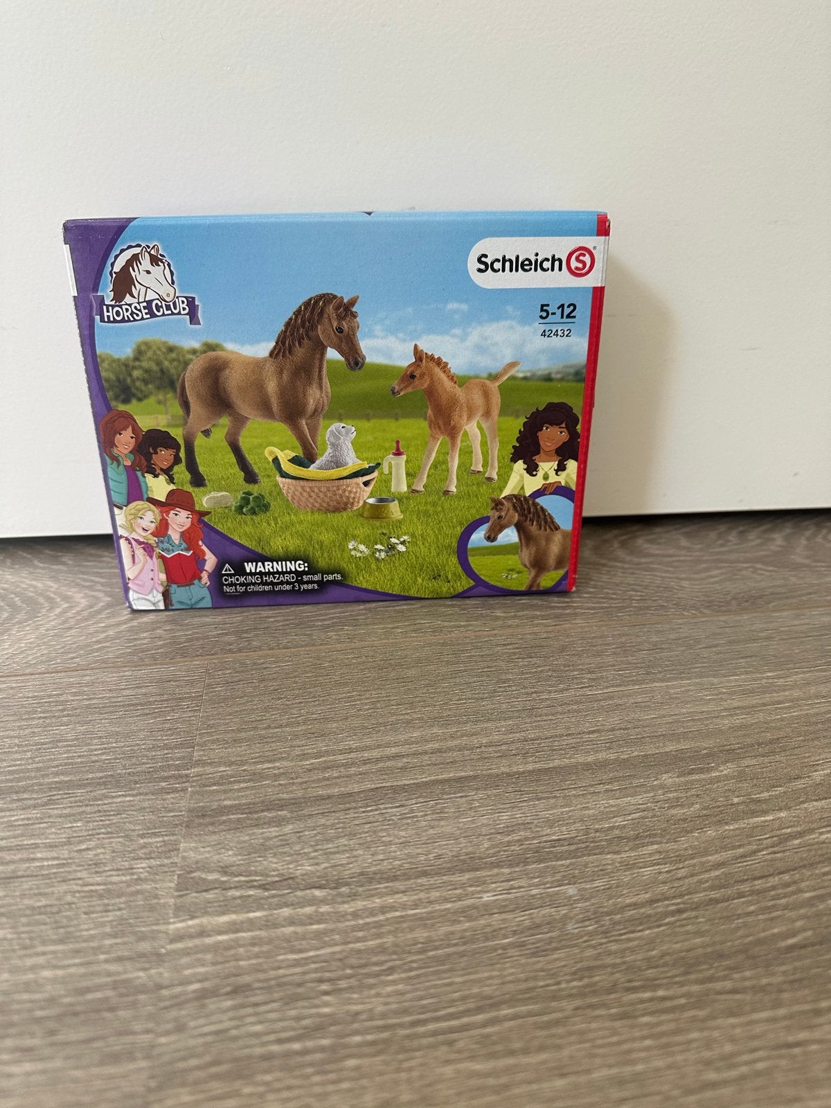 Schleich Horse Club paard met veulen en accessoires, Ophalen of Verzenden, Gebruikt, Jongen of Meisje