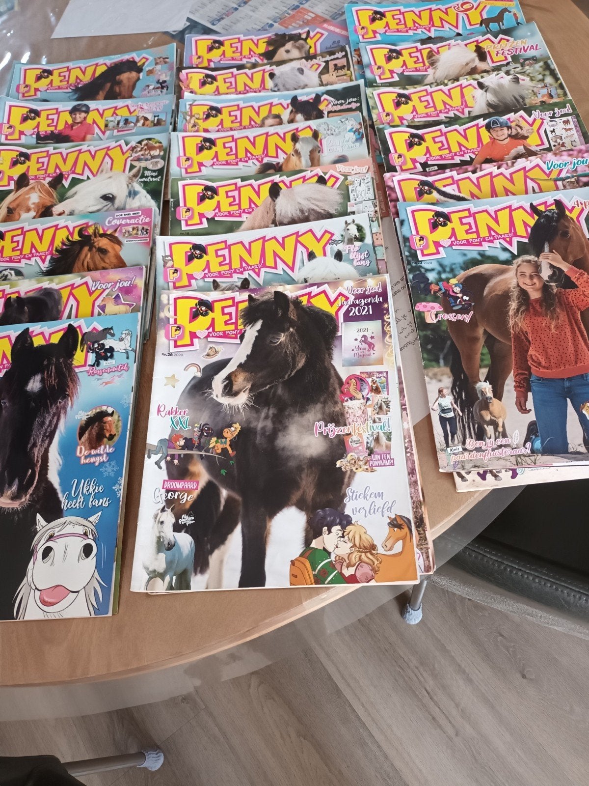 Penny voor pony en paard, Ophalen, Zo goed als nieuw, Sport en Vrije tijd