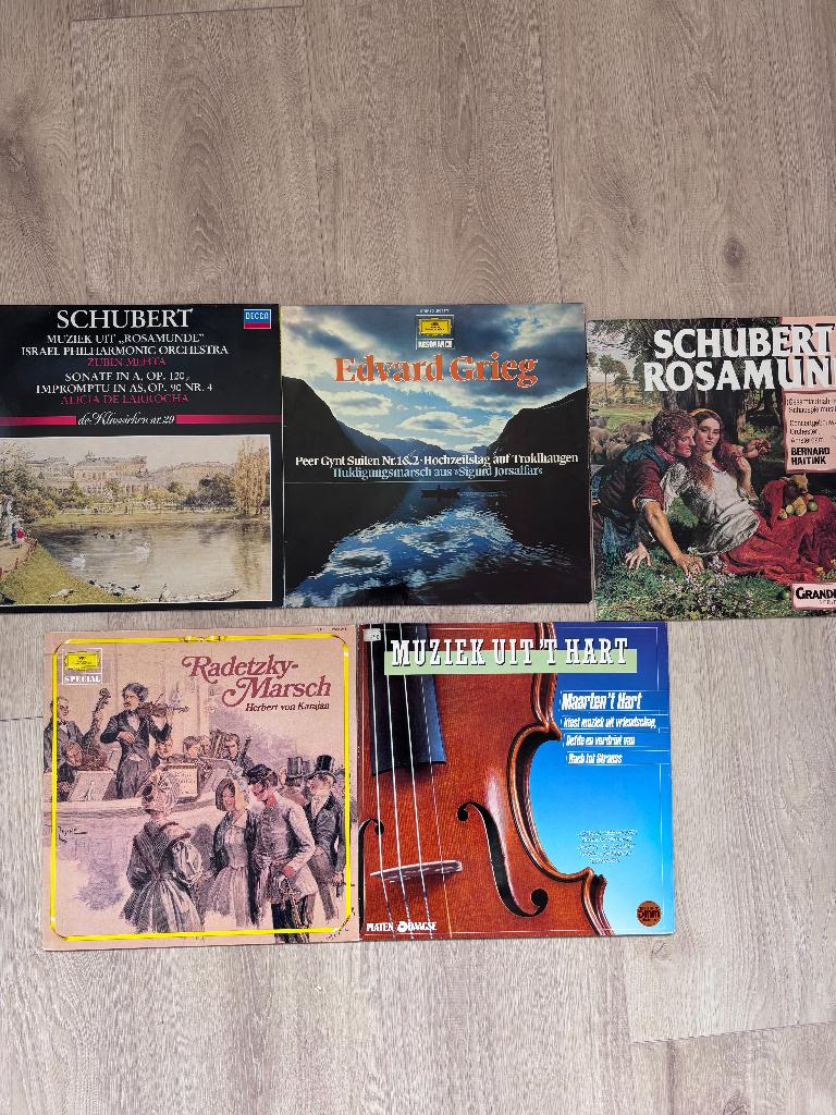 Vinyl LP - Klassieke Muziek, Gebruikt, Overige typen, Ophalen of Verzenden, Romantiek
