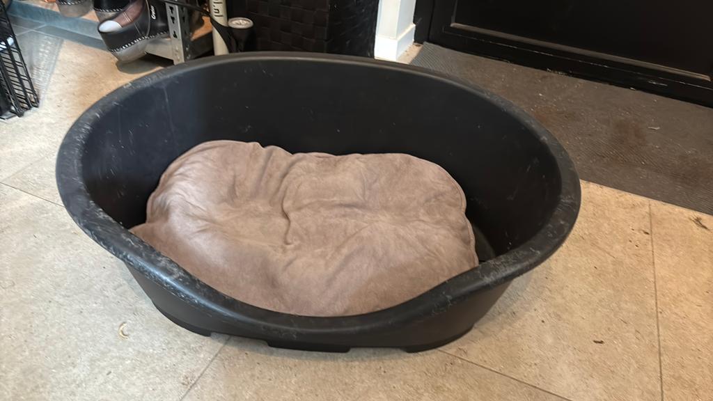 Honden mand met kussen, Dieren en Toebehoren, Hondenmanden, Ophalen, Gebruikt, Overige