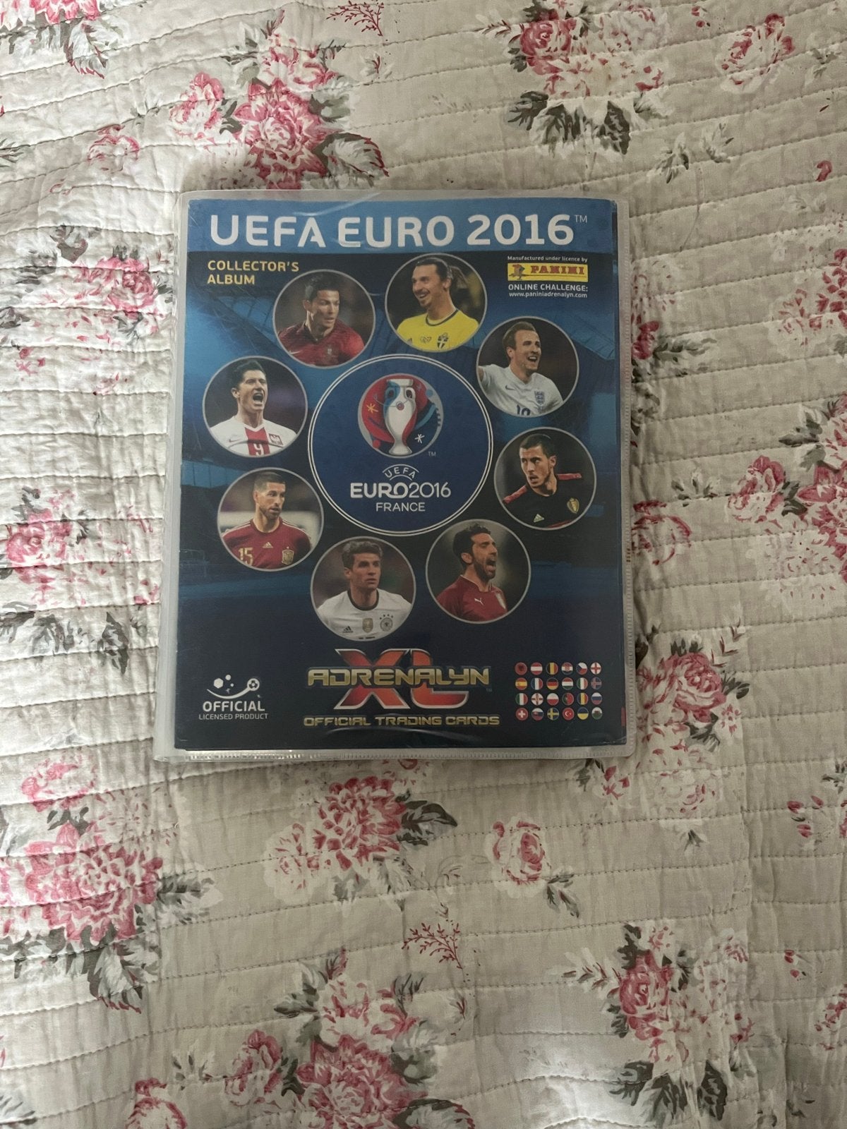 UEFA Euro 2016 Panini Adrenalyn XL Collector's Album, Ophalen of Verzenden, Zo goed als nieuw, Overige sporten, Spelerskaart