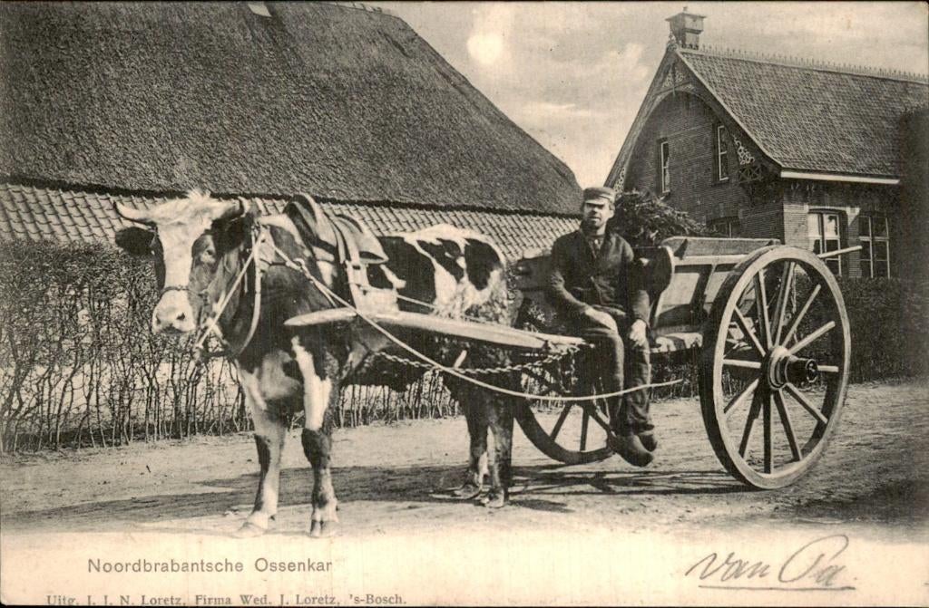 Noord Brabant - Ossenkar - Os Kar, Ophalen of Verzenden, Voor 1920, Gelopen, Noord-Brabant