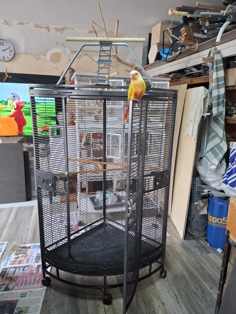 Papegaaienkooi Nadia, Dieren en Toebehoren, Vogels | Hokken en Kooien, Ophalen, Zo goed als nieuw, Metaal, Vogelkooi
