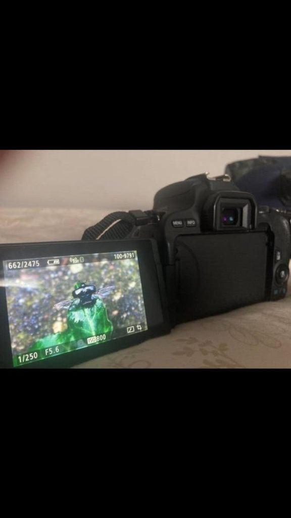Foto 5 van zo goed als splinternieuw - Canon EOS 200D