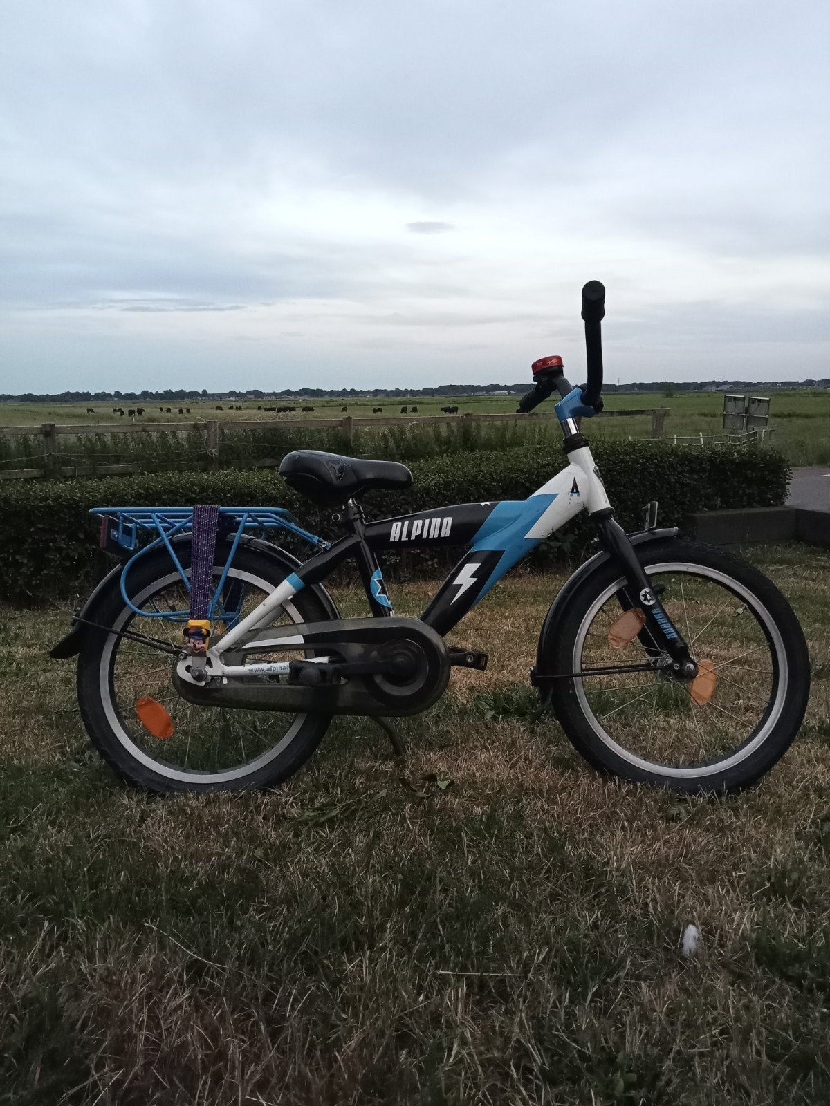 Alpina Yabber, Fietsen en Brommers, Fietsen | Kinderfietsjes, Ophalen, Terugtraprem, Alpina, 16 tot 20 inch