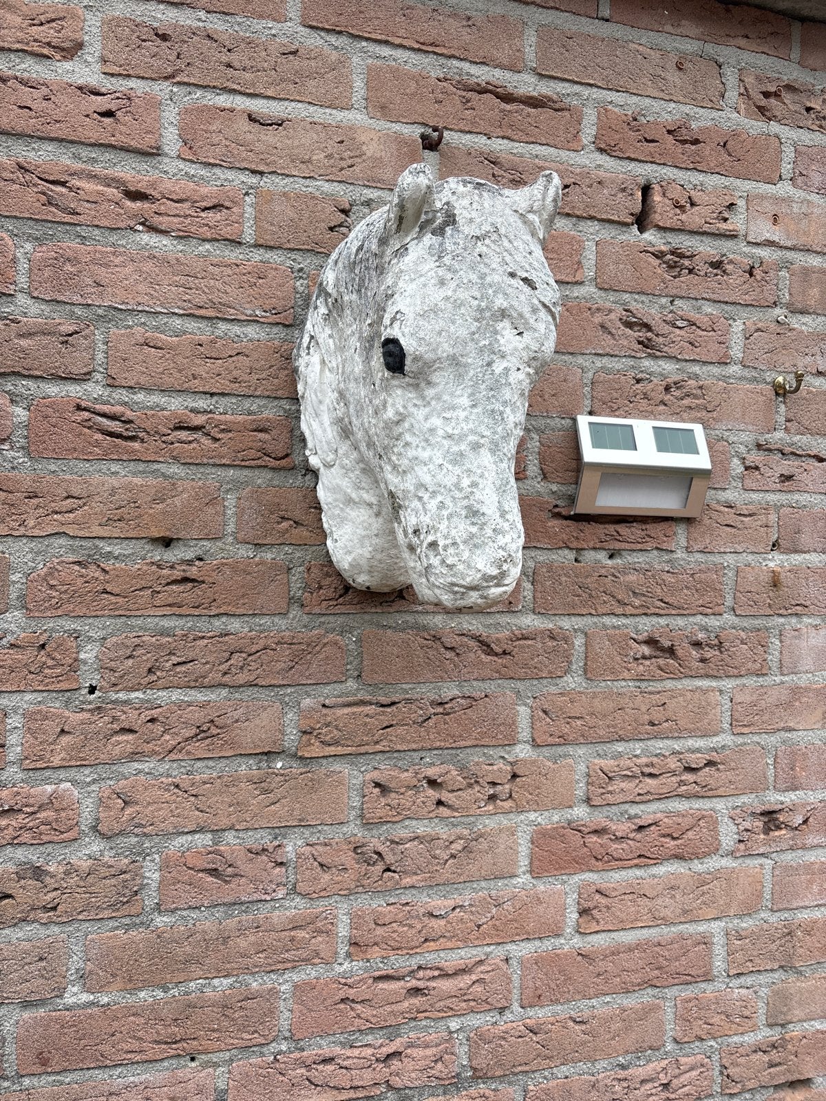Decoratieve Paardenkop Muurdecoratie, Ophalen, Vintage, Gebruikt, Wit