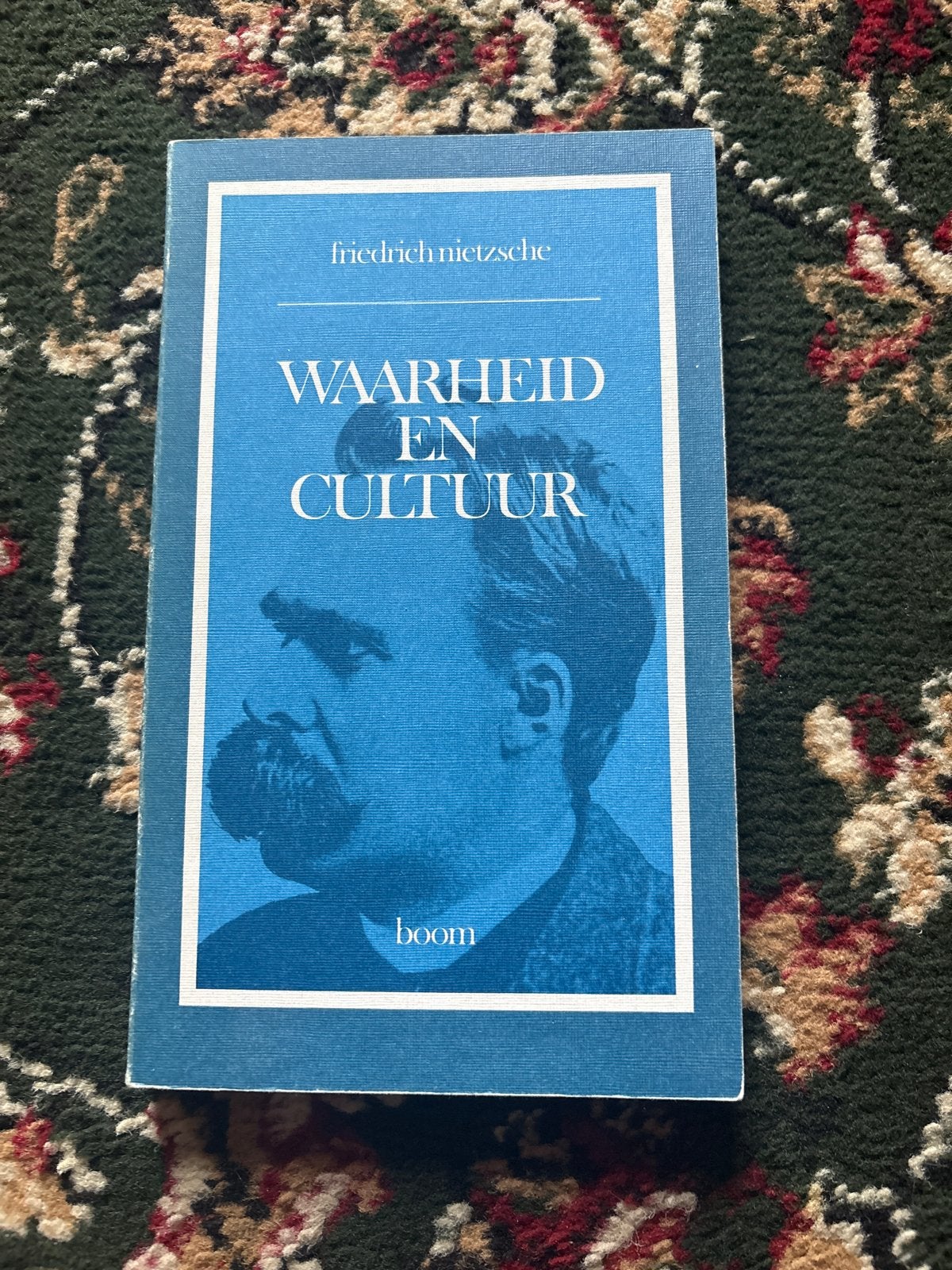 Friedrich Nietzsche - Waarheid en Cultuur, Boeken, Ophalen of Verzenden, Gelezen, Cultuurfilosofie
