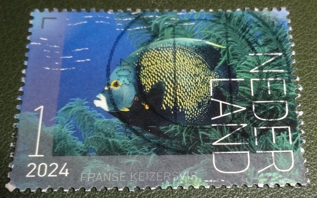 Beleef de Natuur - 4207 - 2024 - Keizersvis - PNe01-07, Verzenden, Na 1940, Gestempeld