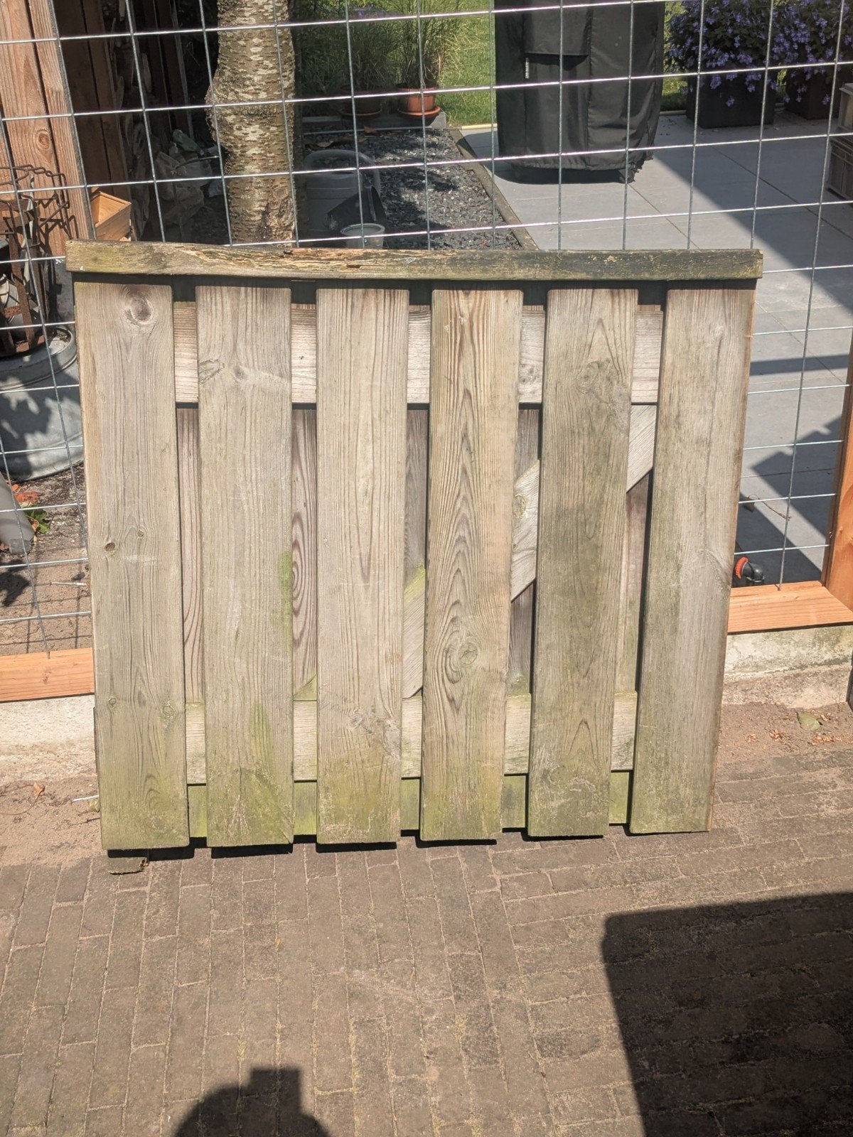 tuinpoortje, trellis, betonpalen, Ophalen, Minder dan 3 meter, Hout, 1 tot 2 meter