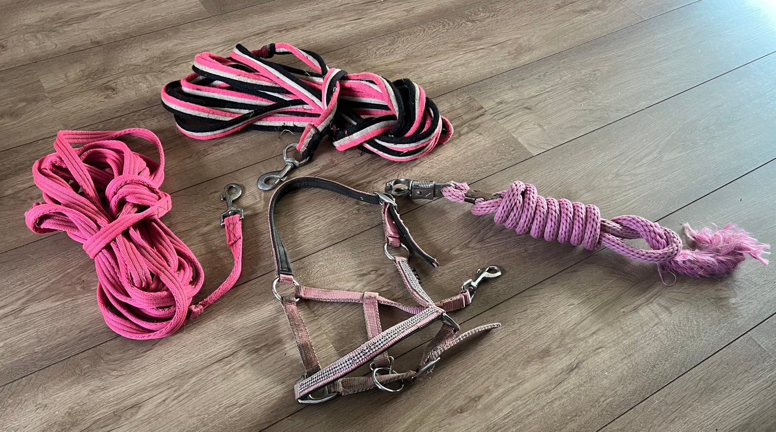 2 longeertouwen + halster en touw, Dieren en Toebehoren, Ophalen, Zo goed als nieuw, Recreatie