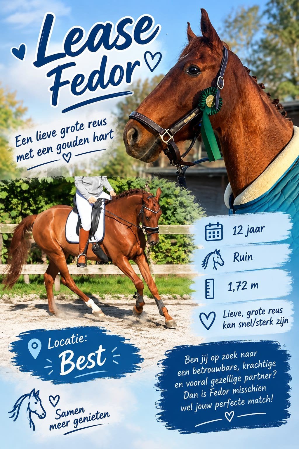 bijrijder gezocht, Dieren en Toebehoren